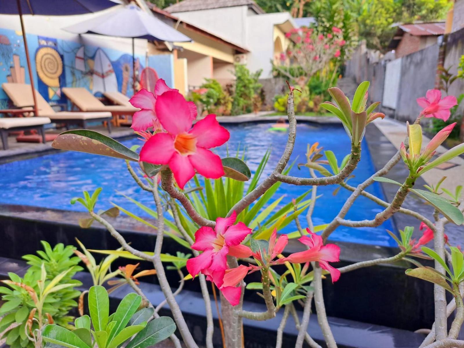 Family Garden Homestay Senggigi Exteriér fotografie